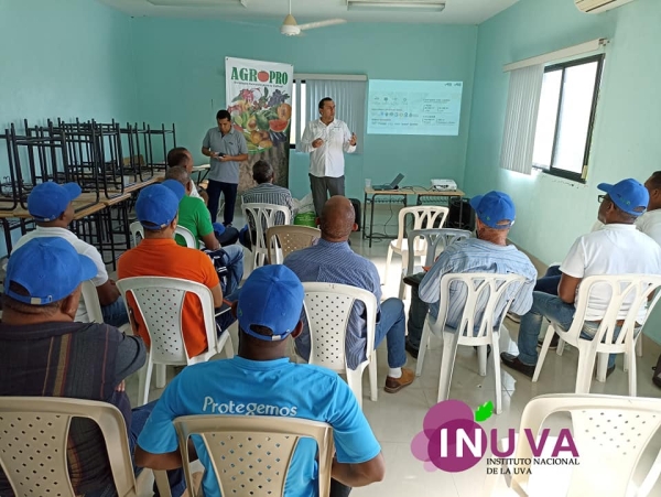 Charla-taller, &quot;Nutrición afectiva en el cultivo de uvas&quot;, impartida por ARISagro, División Agrícola Aris Industrial S. A., Perú.