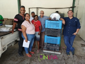 Inicia la vendimia 2024.