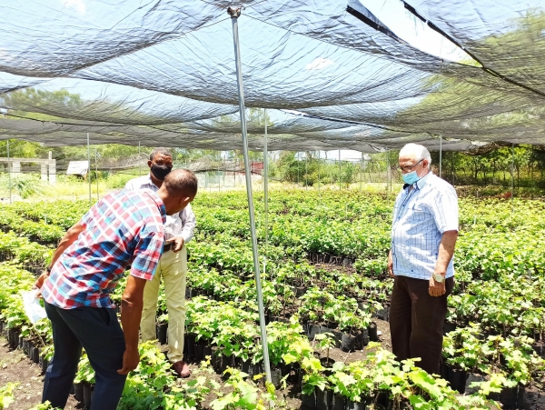 Visita y supervisión del Director del Instituto Nacional de la Uva (INUVA), José Antonio Santos Antonio Manzueta y su equipo técnico al vivero de producción de plantas ubicado en la Estación Experimental Plaza Cacique.