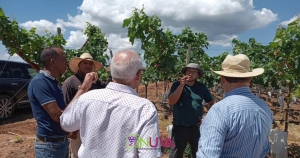 Seguimiento a plantación de nuevas variedades de uvas en Guayubín, Montecristi.