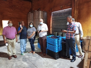 Visita del Director, del Instituto Nacional de la Uva (INUVA), José Antonio Santos Manzueta y parte de su equipo técnico a la Bodega Experimental Plaza Cacique.